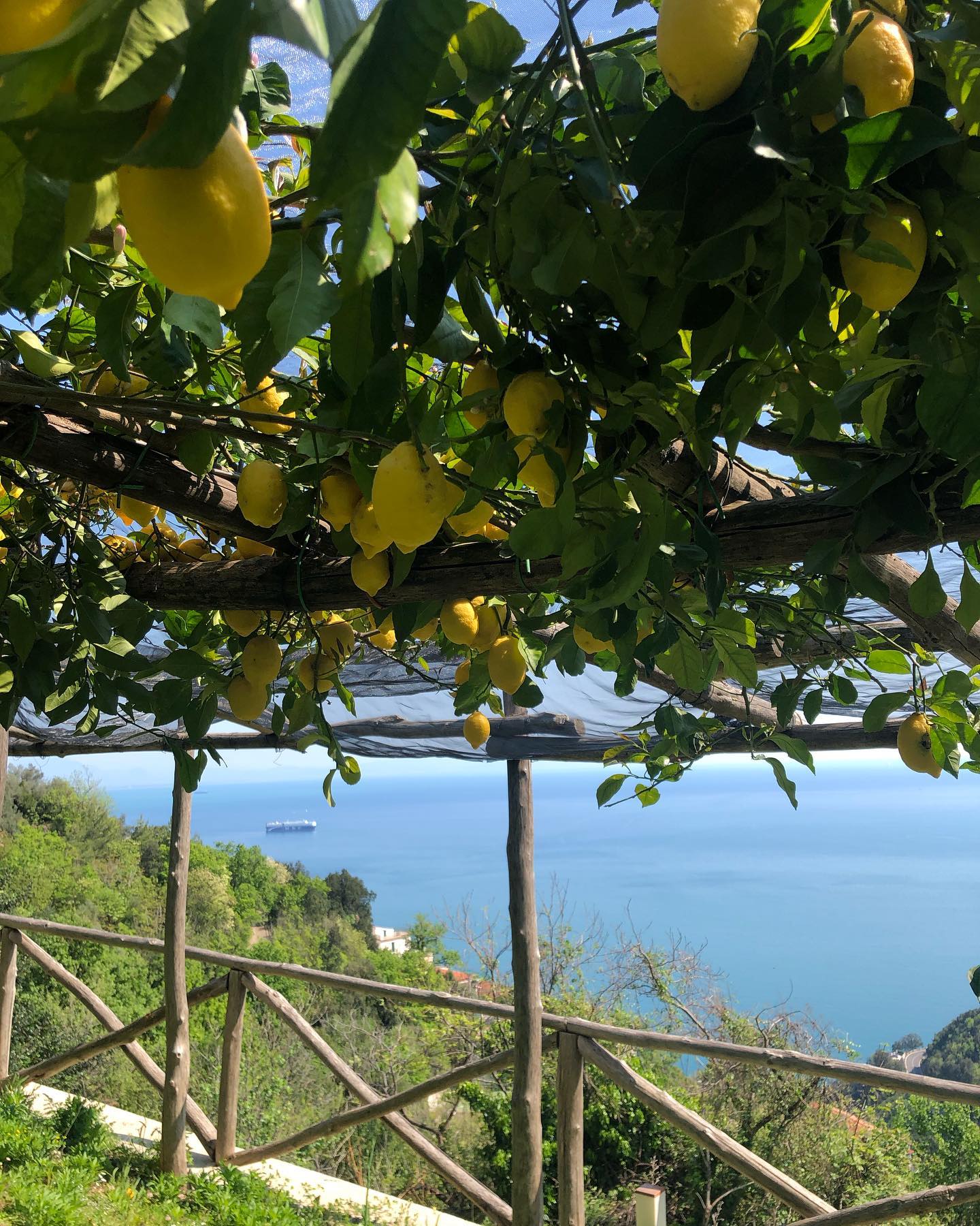 Campania