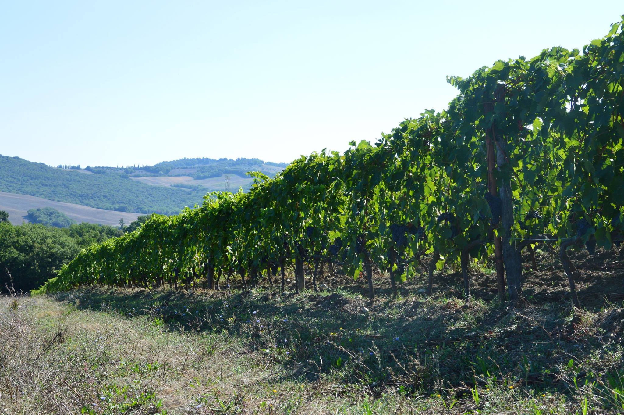 Toscana